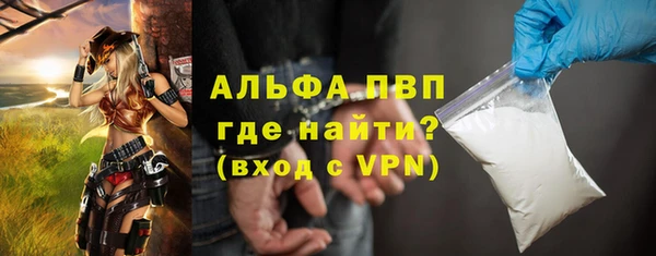 шишки Елизово
