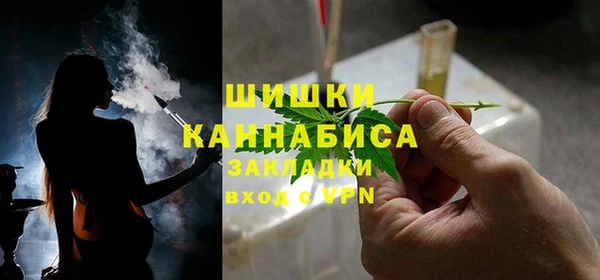 индика Дмитров