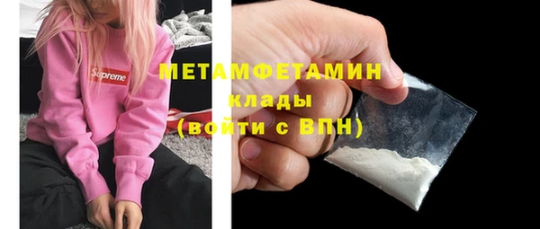 шишки Елизово