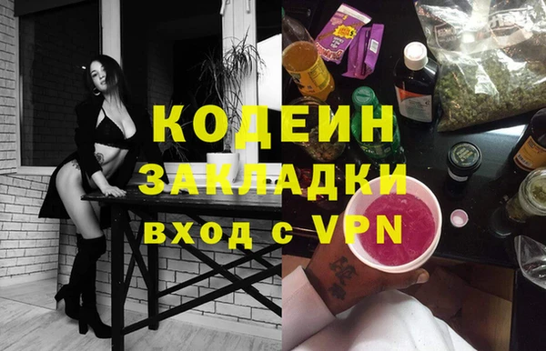 шишки Елизово