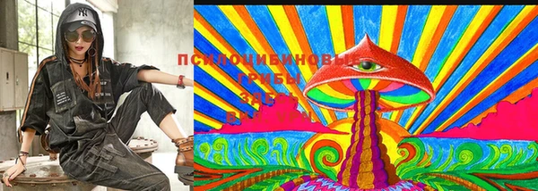 крисы Кущёвская