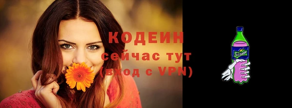 ГАЛЛЮЦИНОГЕННЫЕ ГРИБЫ Елабуга