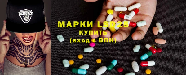 ГАЛЛЮЦИНОГЕННЫЕ ГРИБЫ Елабуга