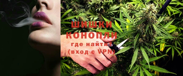 ГАЛЛЮЦИНОГЕННЫЕ ГРИБЫ Елабуга