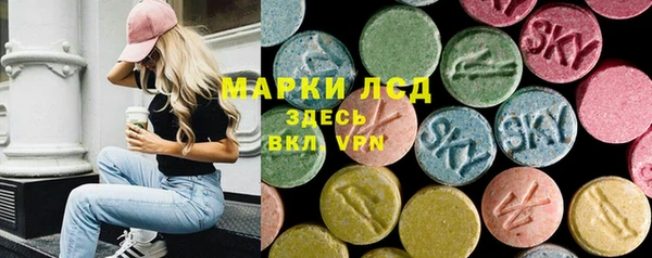 ГАЛЛЮЦИНОГЕННЫЕ ГРИБЫ Елабуга