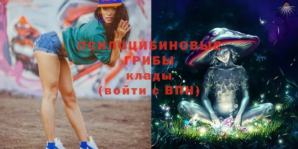 шишки Елизово