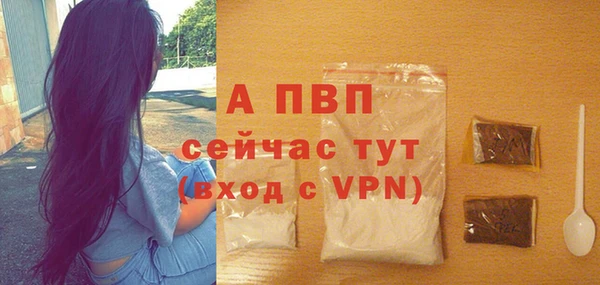шишки Елизово