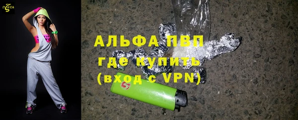 шишки Елизово