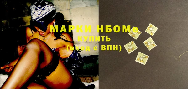 apvp Инсар
