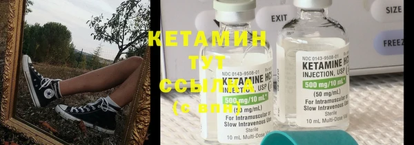 шишки Елизово