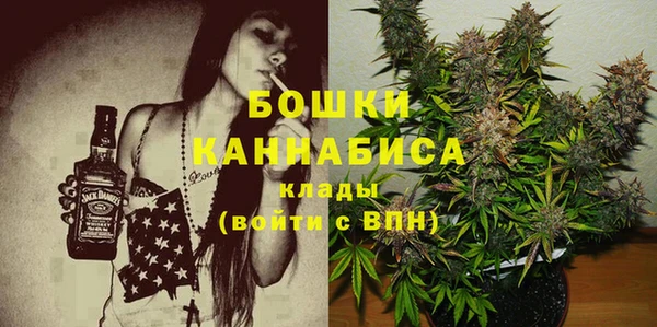 шишки Елизово