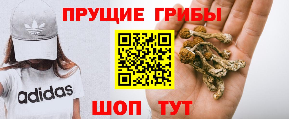 Псилоцибиновые грибы Cubensis Донецк